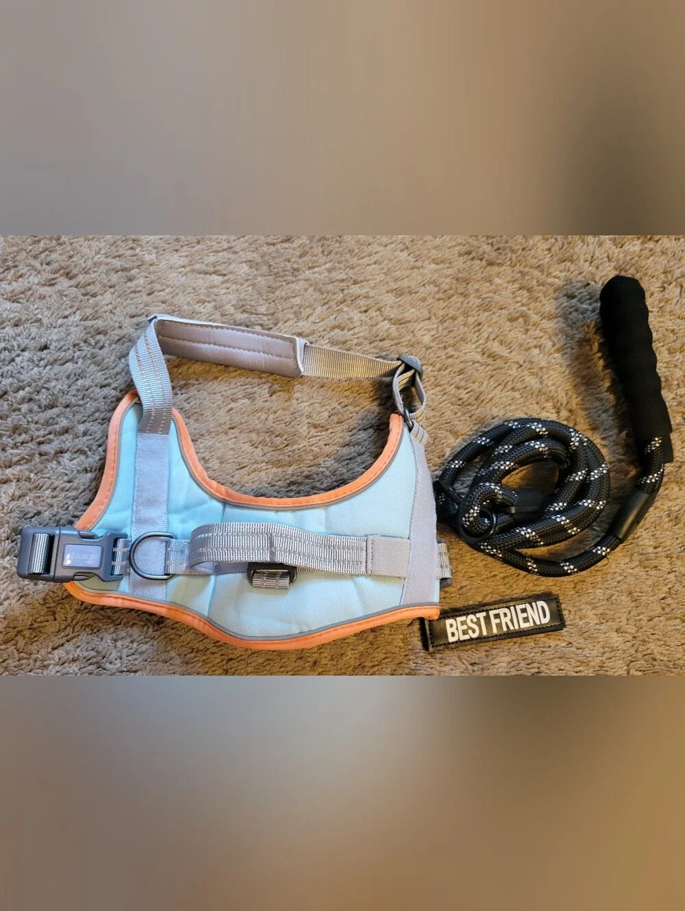 Light Blue & Peach Reflective Dog Harness with Leash
